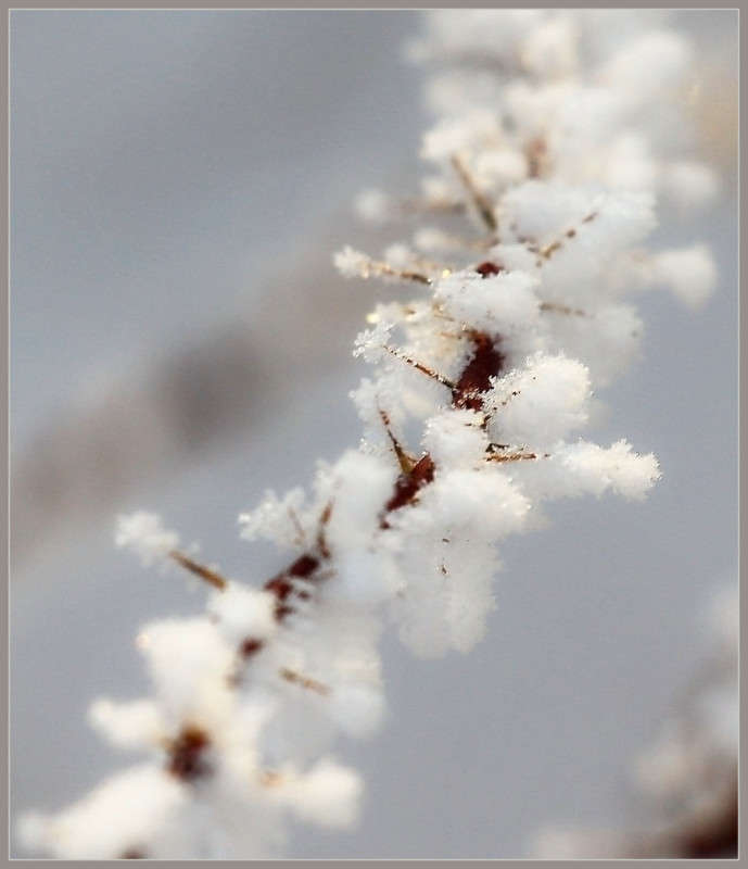 ����� � ��������... ����� Pola20  �� PhotoGeek.ru #������ ��� ������� #���������