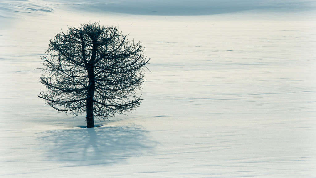 ����������))) ����� Pola20  �� PhotoGeek.ru #������ ��� ������� #����� ��������������