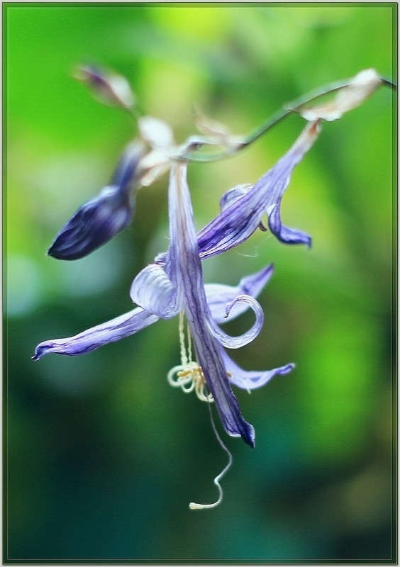 ������� ����������� ����... ����� Pola20  �� PhotoGeek.ru #������ ��� ������� #����� �������������� #���������