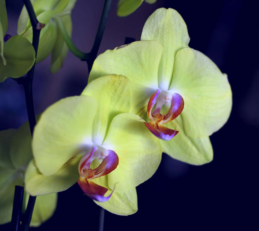 ... ����� Pola20  �� PhotoGeek.ru #������ ��� ������� #����� �������������� #�����