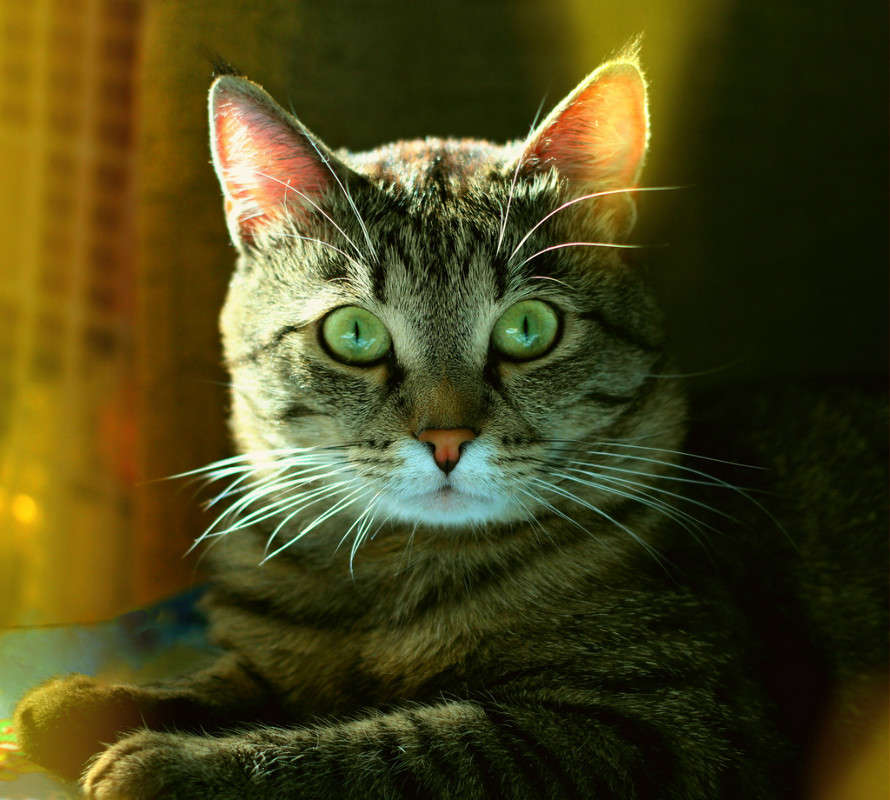 ������� ������� ����� Pola20  �� PhotoGeek.ru #�������� ��� #������� #���-�����������