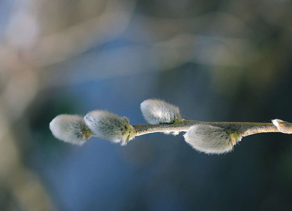 ����� ����� Pola20  �� PhotoGeek.ru #������ ��� ������� #����� ��������������