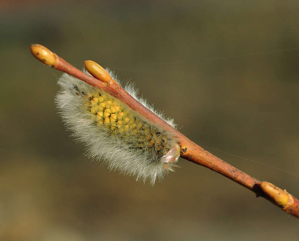 � �����-�����!))) ����� Pola20  �� PhotoGeek.ru #������ ��� ������� #����� ��������������