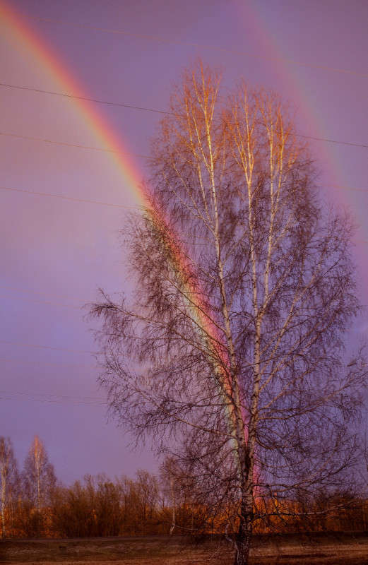 ���������� ������))) ����� Pola20  �� PhotoGeek.ru #������ ��� ������� #���������