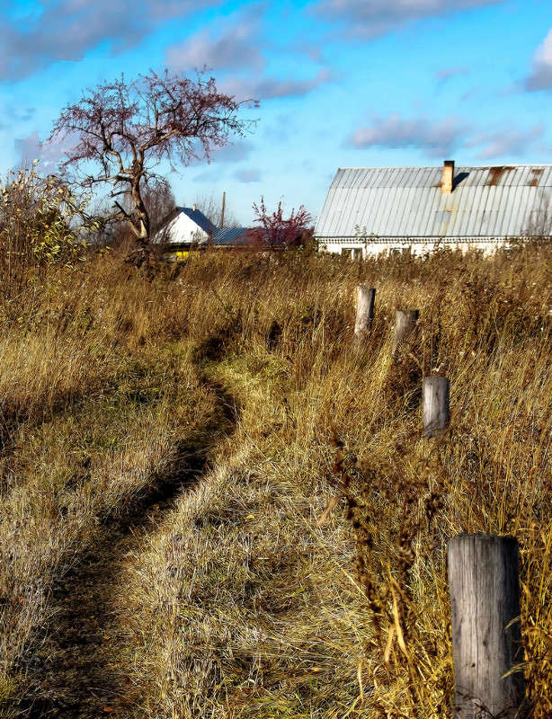 �������))) ����� Pola20  �� PhotoGeek.ru #������ ��� ������� #���-����������� #���������