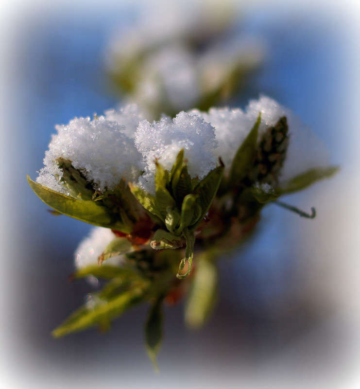 �������...))) ����� Pola20  �� PhotoGeek.ru #������ ��� ������� #����� ��������������