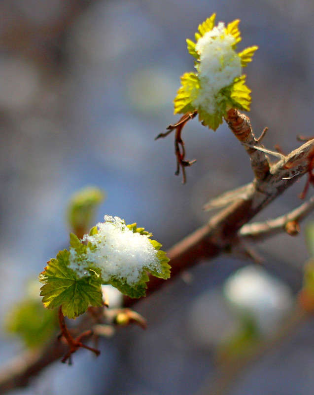 ���������� ����� Pola20  �� PhotoGeek.ru #������ ��� ������� #����� ��������������