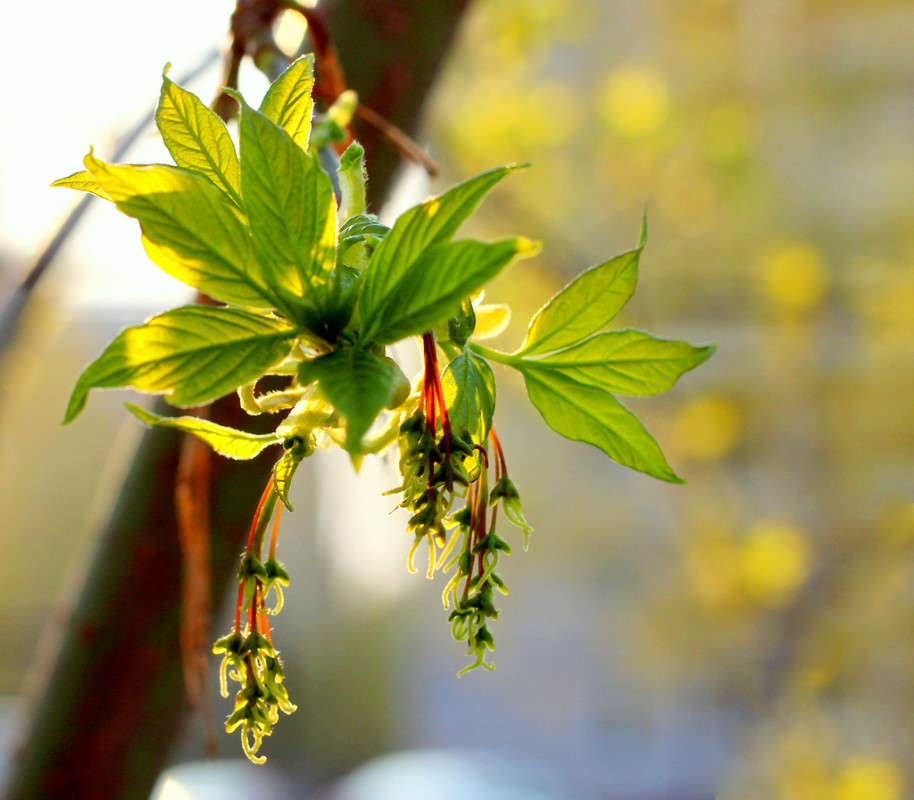 Ҹ���� �������1. ����� Pola20  �� PhotoGeek.ru #������ ��� ������� #����� ��������������