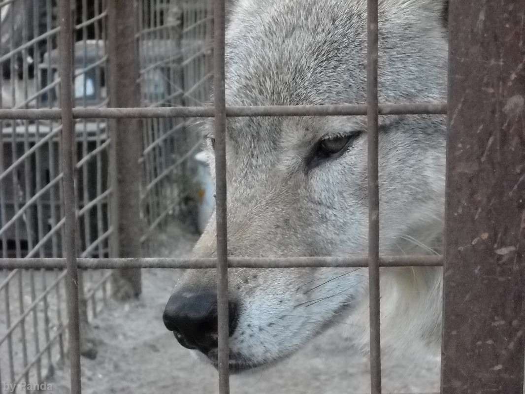 ������� ����� ����  �� PhotoGeek.ru #�������� ���