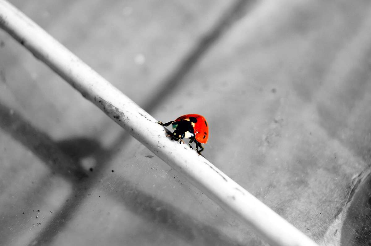 ����� ������� ����� ����� ��������� �� PhotoGeek.ru #�������� ��� #�����-�����