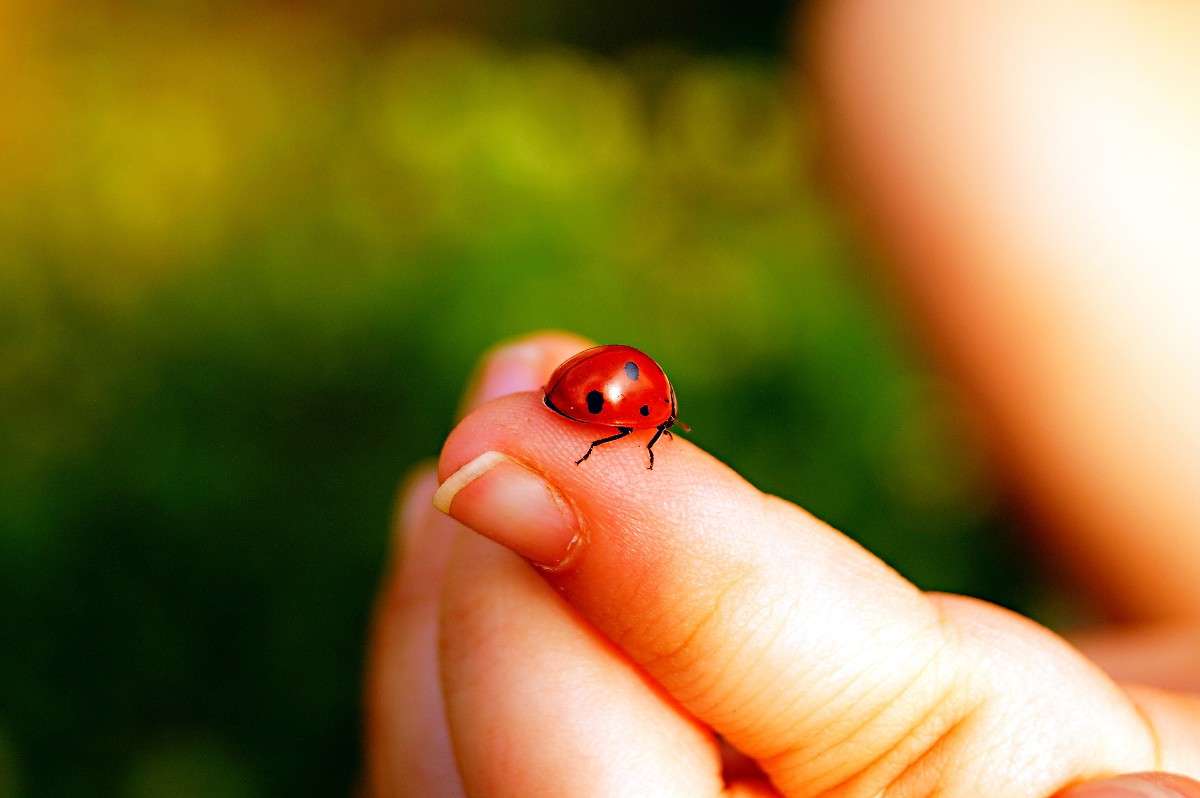 ����� ������� ����� ����� ��������� �� PhotoGeek.ru #����� #�������� ��� #���������