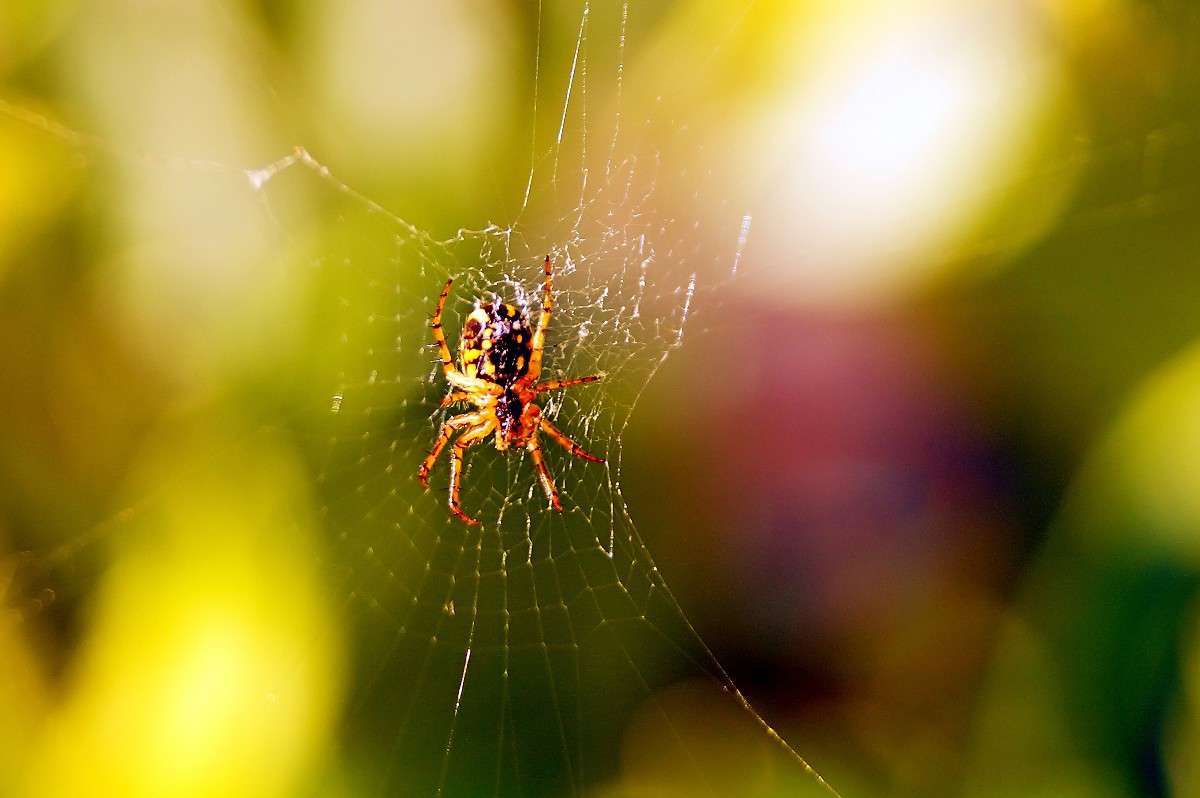 ���� ����� ����� ��������� �� PhotoGeek.ru #����� #���������