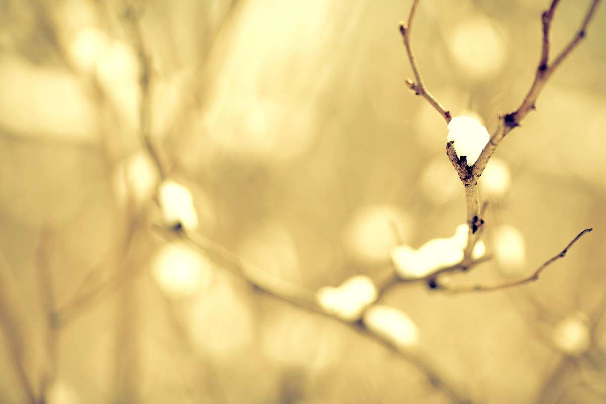 ���� �������.... ����� ����� ��������� �� PhotoGeek.ru #������ ��� ������� #����� ��������������