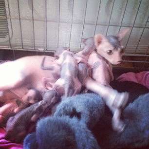 ... ����� Pavel  Kolesnikov �� PhotoGeek.ru #�������� ���