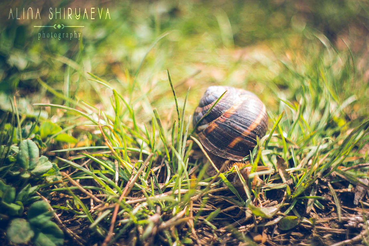 ... ����� ����� ������� �� PhotoGeek.ru #�������� ���