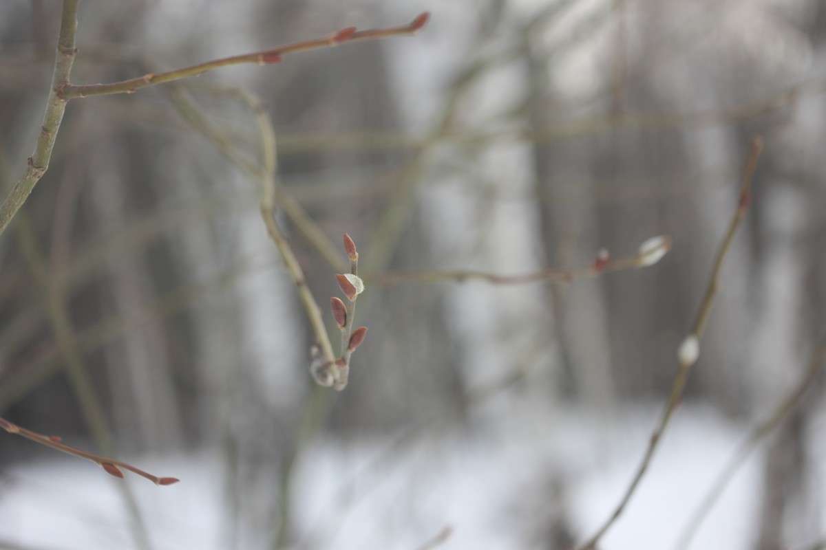 ����� ����! ����� ������� �������� �� PhotoGeek.ru #�������� ��� #������ ��� ������� #����� ��� ��� ��������� #����� �������������� #��������� #������ #����� ��������