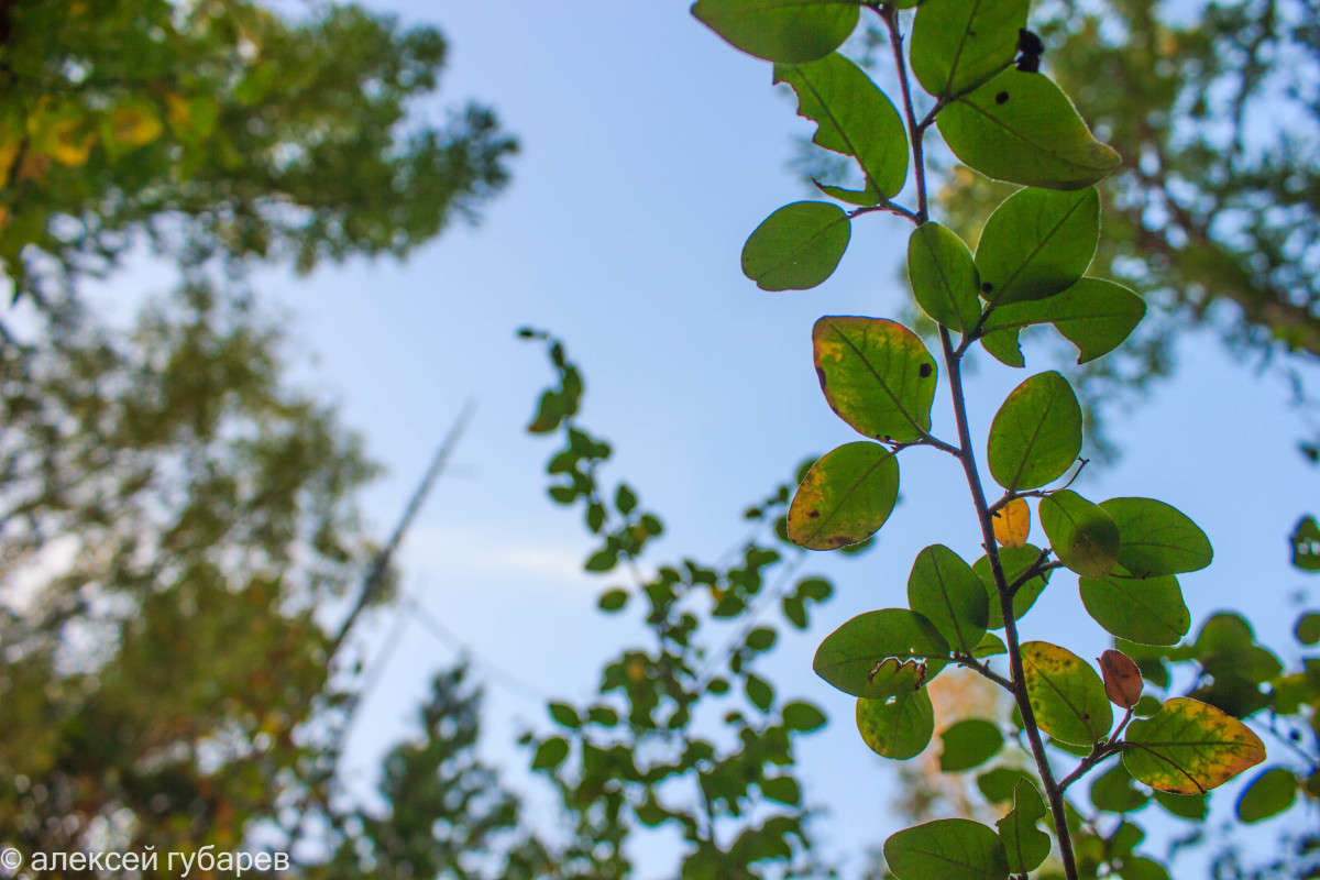 ... ����� ������� ������� �� PhotoGeek.ru #������ ��� �������