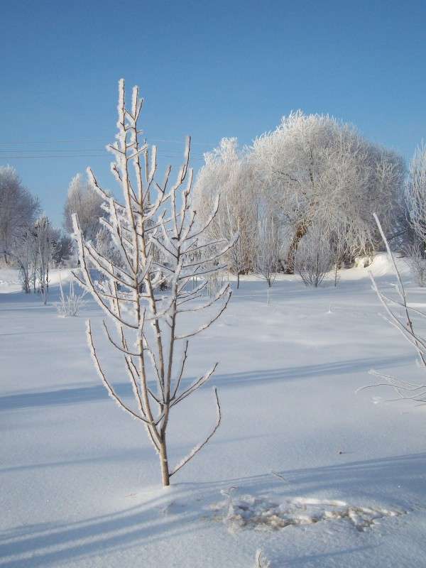  ����� ������� ������ �� PhotoGeek.ru