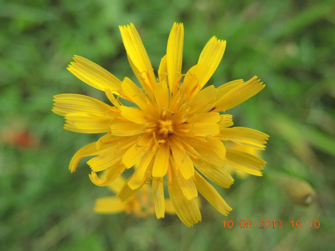 ���� ����� !) ����� �������  �� PhotoGeek.ru #�����