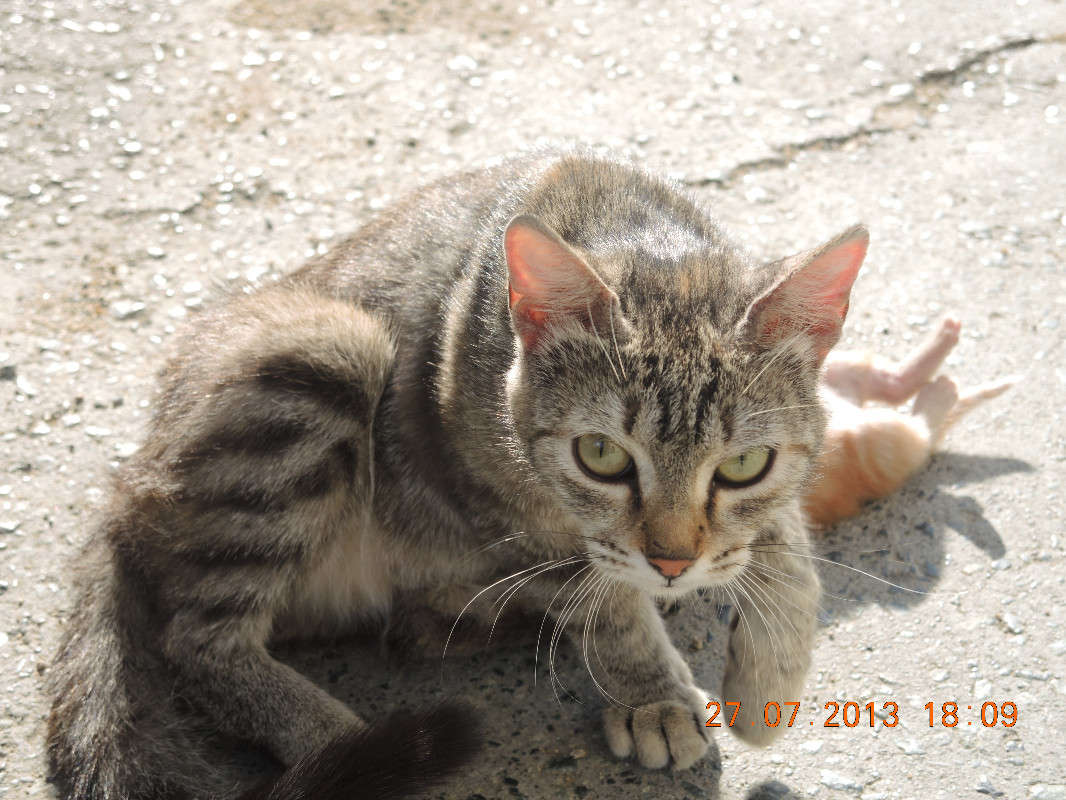 ������� ���� ))) ����� �������  �� PhotoGeek.ru #�������� ��� #����� ��� ��� ���������