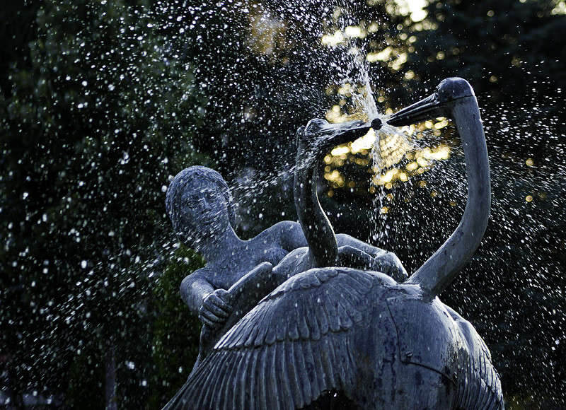 ������ ����� �������  �� PhotoGeek.ru #����� #�����������