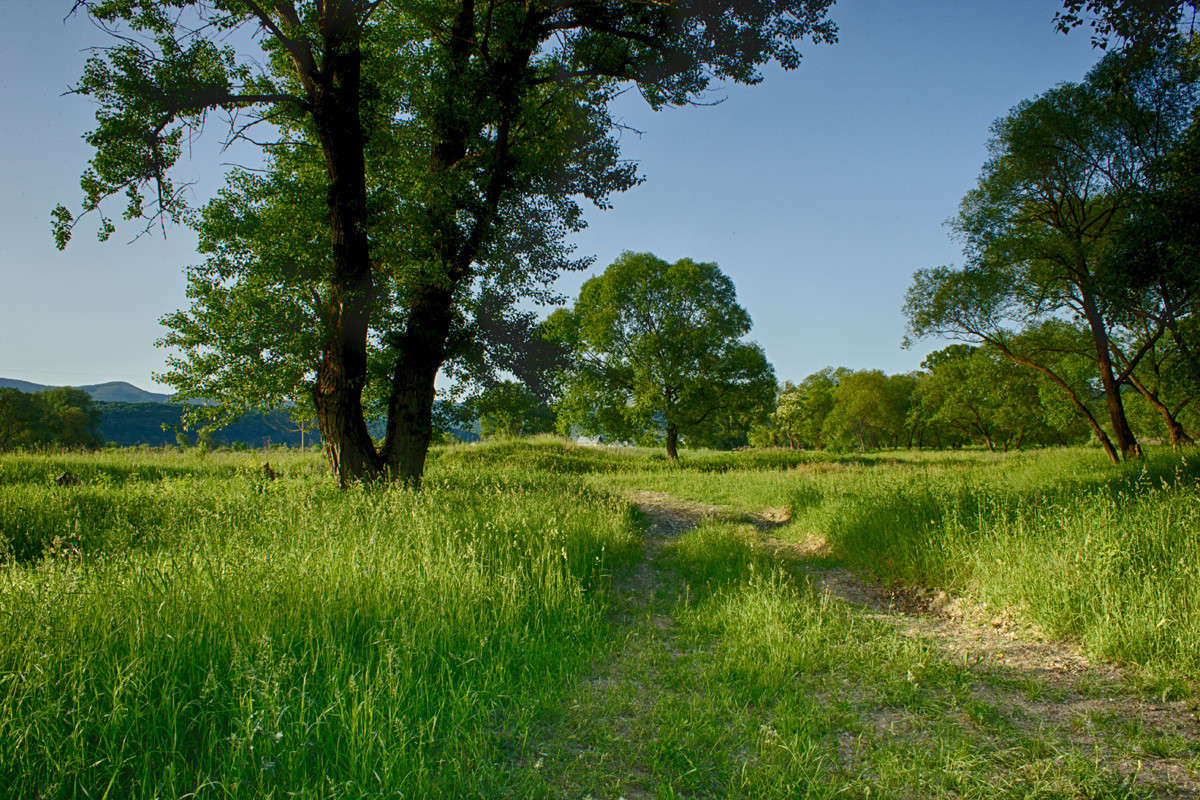 ������� ����� �������  �� PhotoGeek.ru #������ ��� �������