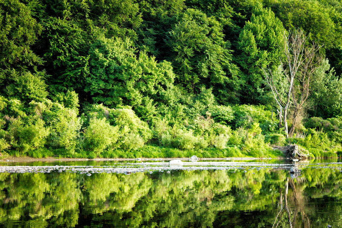 * ����� �������  �� PhotoGeek.ru #������ ��� �������