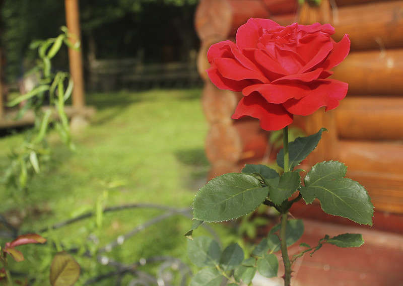 ���� ����� �������  �� PhotoGeek.ru #������ ��� ������� #������