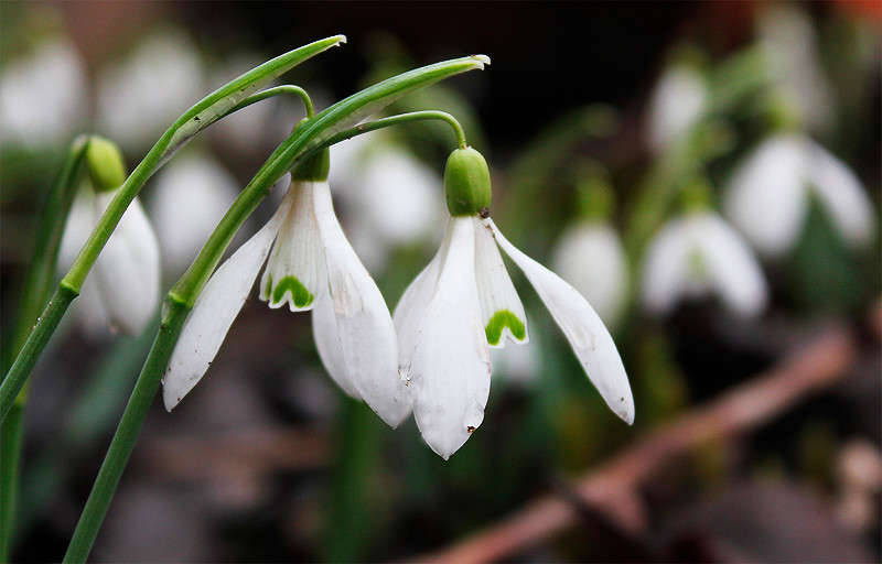 ������������ � ����� ����� �������  �� PhotoGeek.ru #������ ��� �������