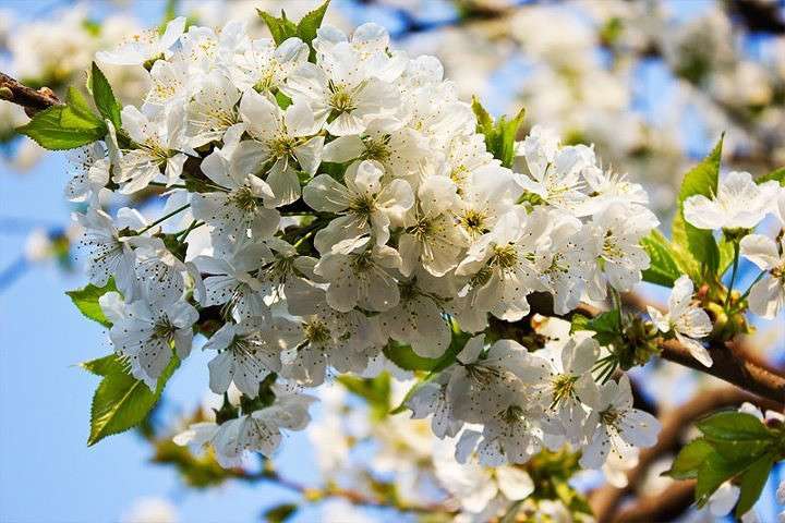 ������������ � ����� 2 ����� �������  �� PhotoGeek.ru #������ ��� ������� #����� ��������������