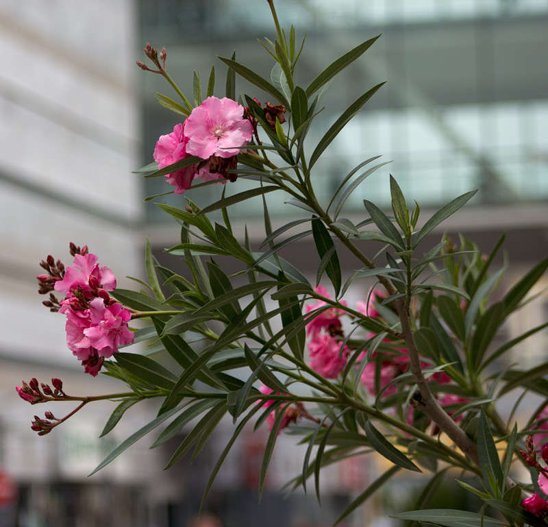 ������� ����� �������  �� PhotoGeek.ru #����� #��������� ������