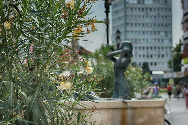 "�������" �� ������� ����� �������  �� PhotoGeek.ru #����� #������ ���� #��������� ������