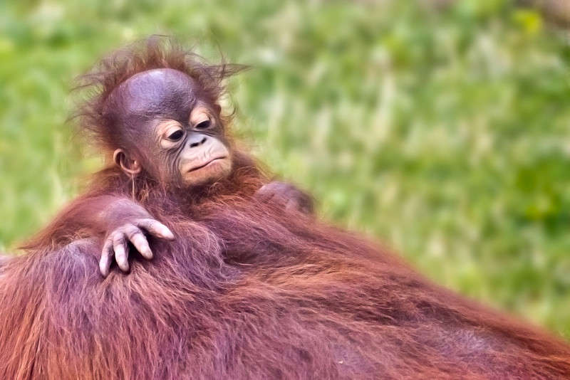 ����� ���� ����� �������  �� PhotoGeek.ru #�������� ��� #�������