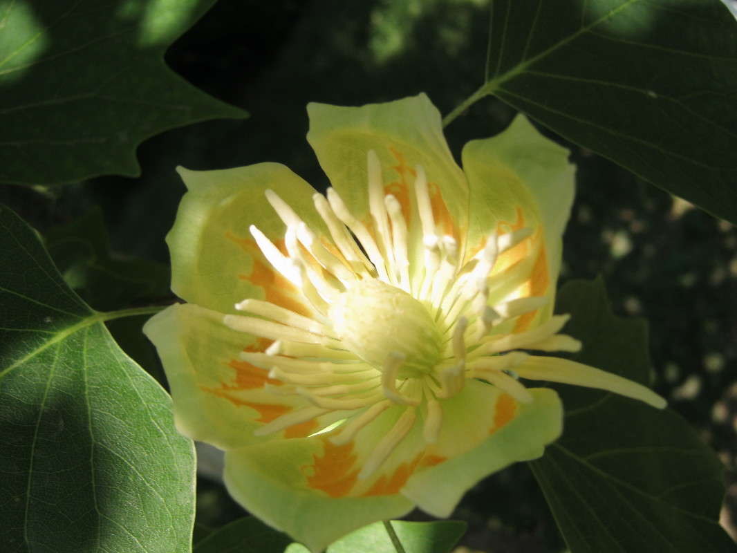 ����������� ������ ����� �������  �� PhotoGeek.ru #������ ��� ������� #����� ��������������