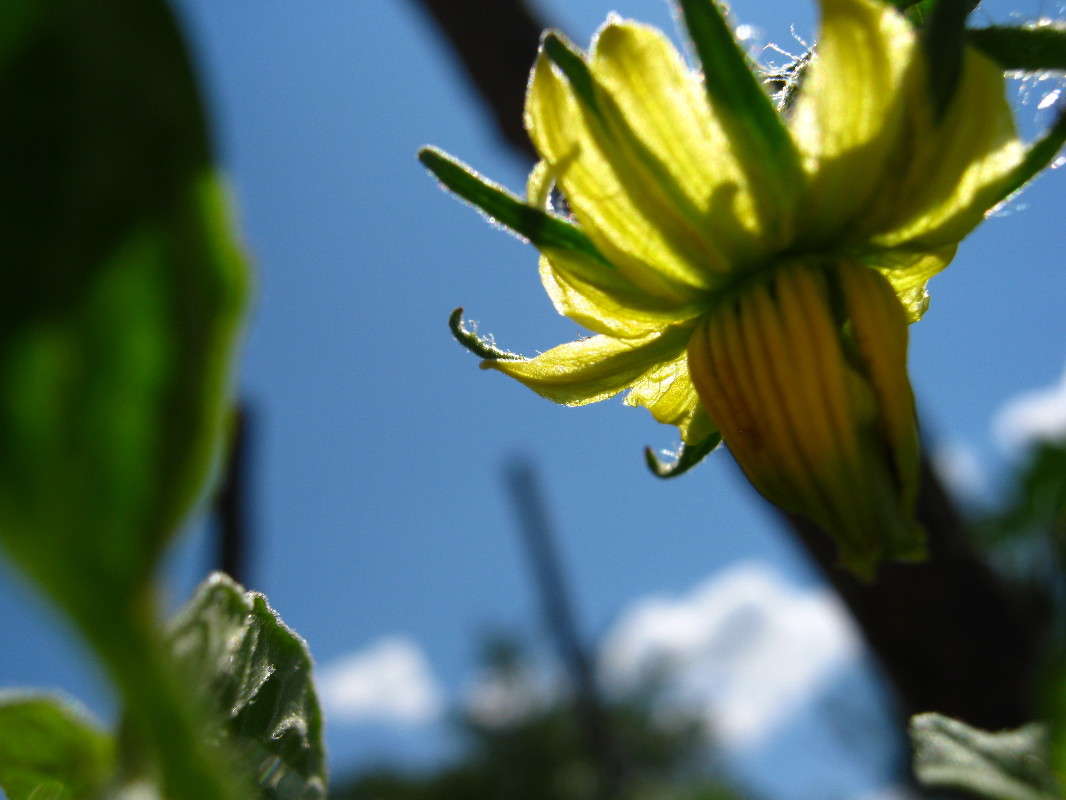 ��� �� �������? (������) ����� �������  �� PhotoGeek.ru #������ ��� ������� #����� ��������������