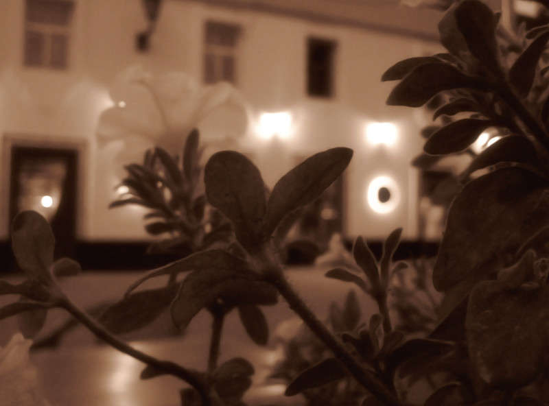 ... ����� �������  �� PhotoGeek.ru #����� #������ ����