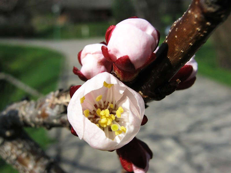 ������������ � ����� 4 ����� �������  �� PhotoGeek.ru #������ ��� ������� #����� ��������������