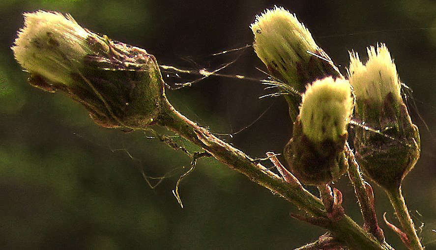 "��������" ����� �������  �� PhotoGeek.ru #������ ��� ������� #����� ��������������