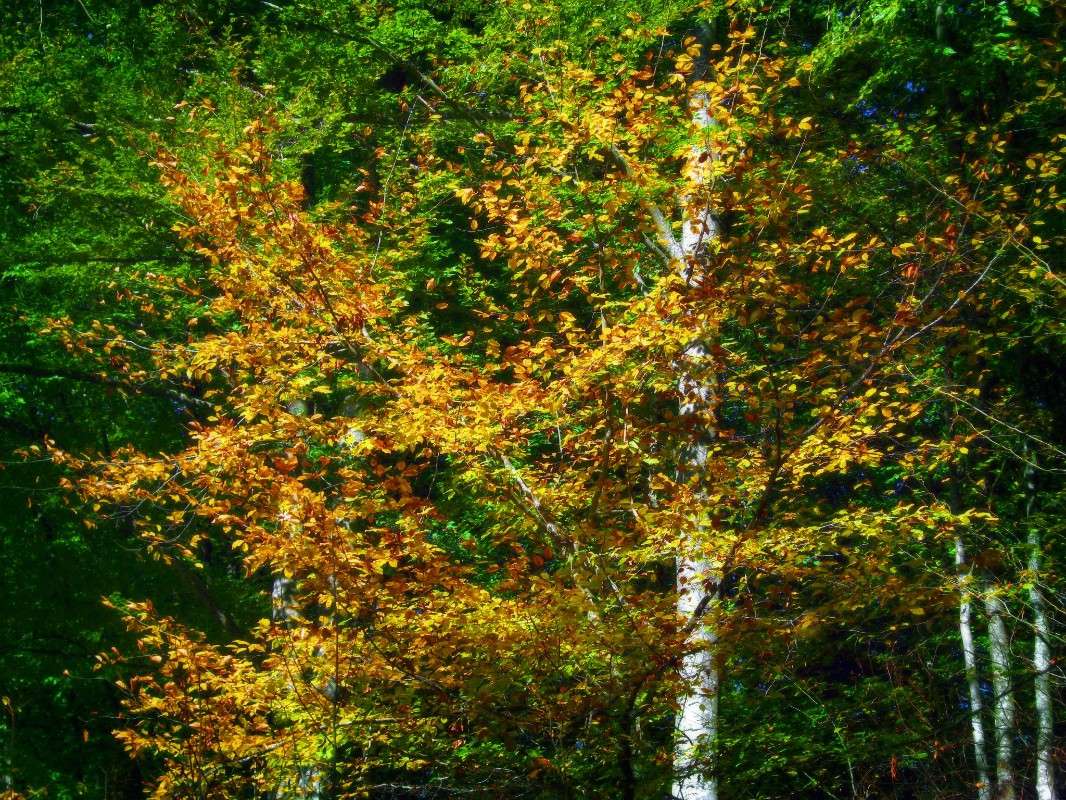 ����������� ����� ����� �������  �� PhotoGeek.ru #������ ��� ������� #����� ��������������