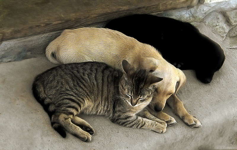 ������� ������ ����� �������  �� PhotoGeek.ru #�������� ��� #�������� ���