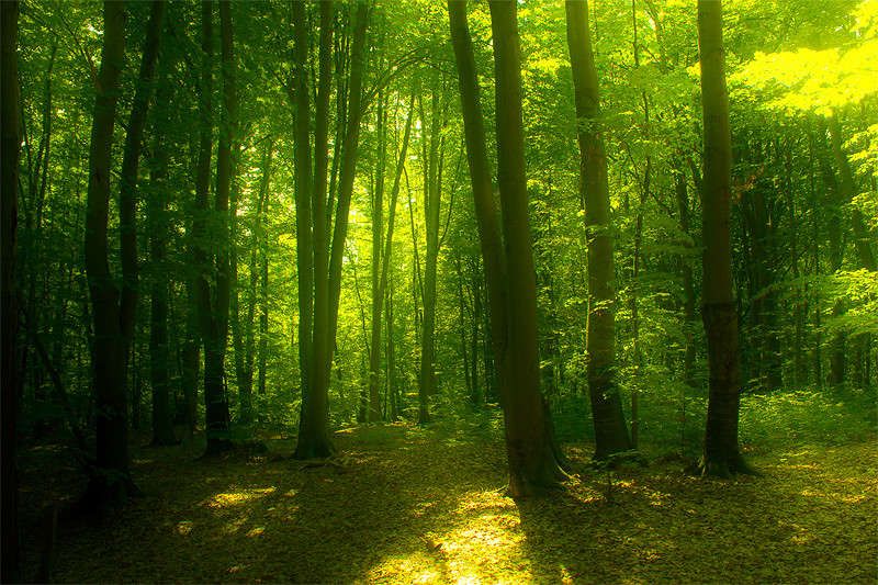 ��� ����� �������  �� PhotoGeek.ru #������ ��� �������