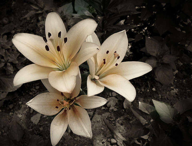 ����� ����� �������  �� PhotoGeek.ru #������ ��� ������� #����� ��������������