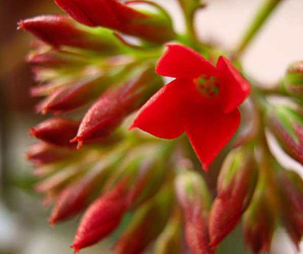 �������� ����� �������  �� PhotoGeek.ru #������ ��� ������� #����� ��������������