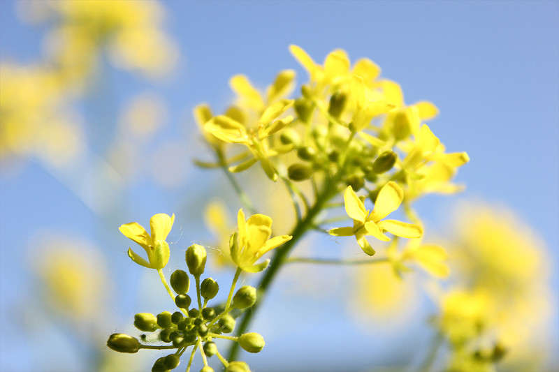 ������ �� ������� ����� �������  �� PhotoGeek.ru #������ ��� ������� #����� ��������������