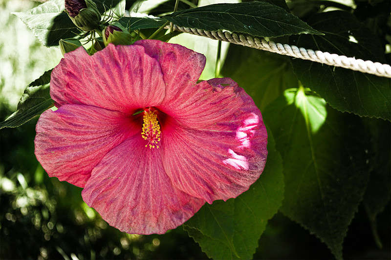 �������� ����� �������  �� PhotoGeek.ru #������ ��� ������� #����� ��������������