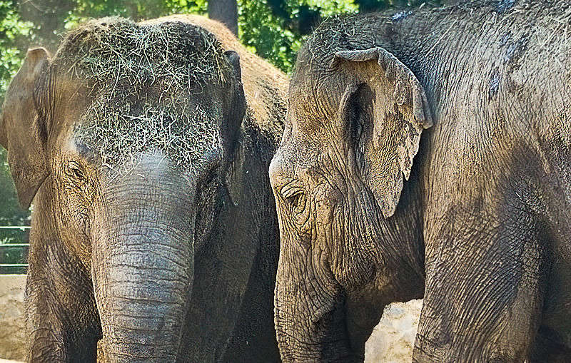 ������� ������ ����� �������  �� PhotoGeek.ru #�������� ��� #����� ��� ��� ���������