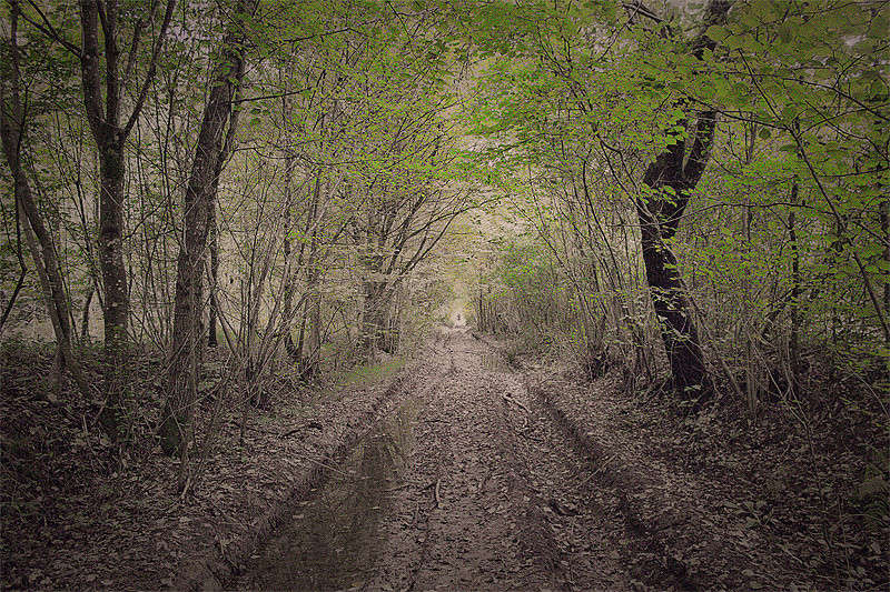 ����� ������� ����� �������  �� PhotoGeek.ru #������ ��� ������� #����� �������������� #������