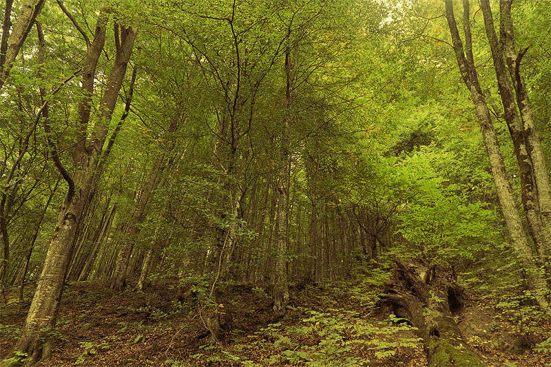 ... ��� ����� ������ ... ����� �������  �� PhotoGeek.ru #������ ��� ������� #����� ��������