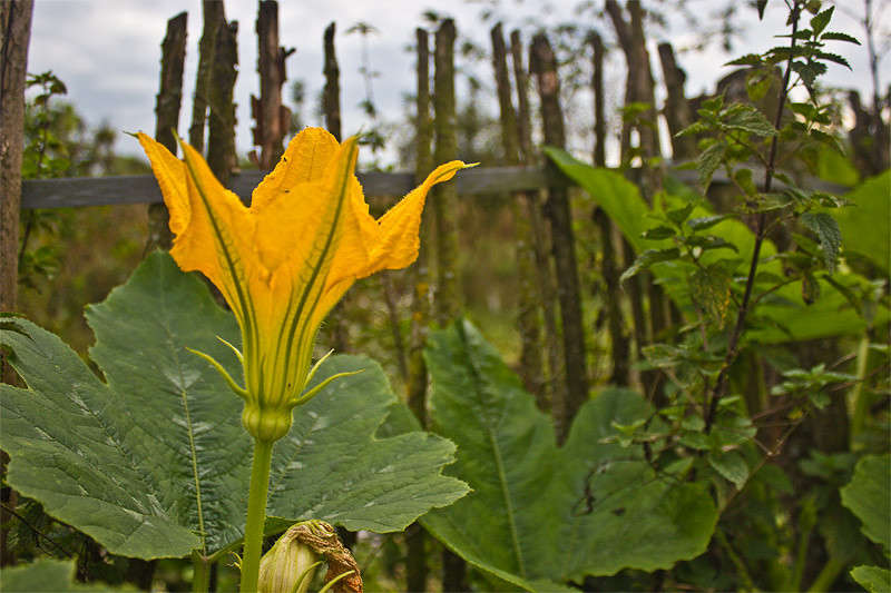 ����� �� ������ ����� �������  �� PhotoGeek.ru #������ ��� ������� #����� ��������������