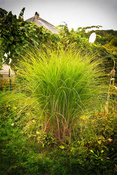 �������� ��������� ����� �������  �� PhotoGeek.ru #������ ��� ������� #����� �������������� #����� ��������